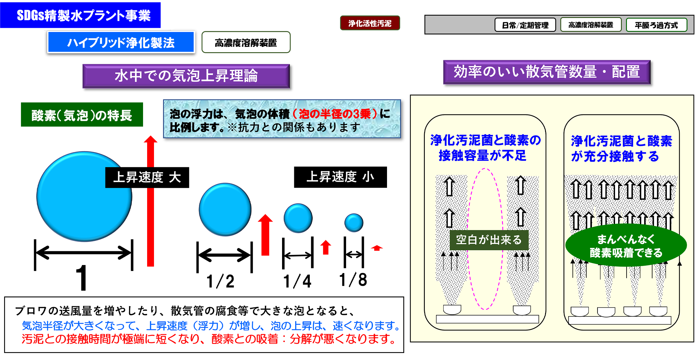 SDGs事業